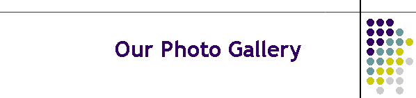 Our Photo Gallery